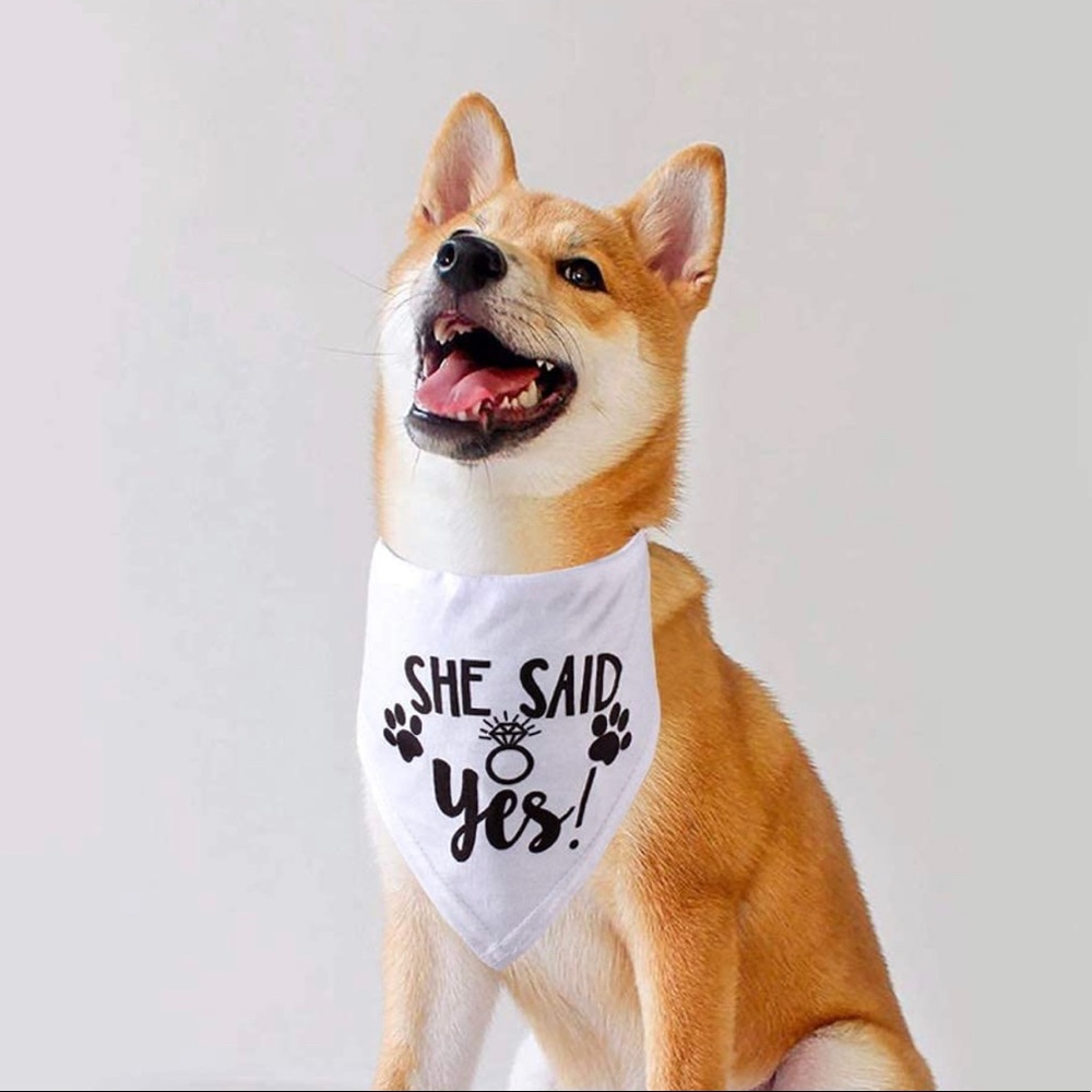 She Said Yes! Bundle - Picture 2 of 9